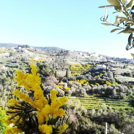Terre Di Mare Bordighera בית חווה *