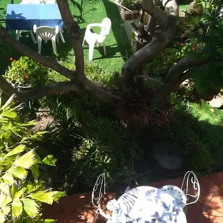 Terre Di Mare Bordighera בית חווה