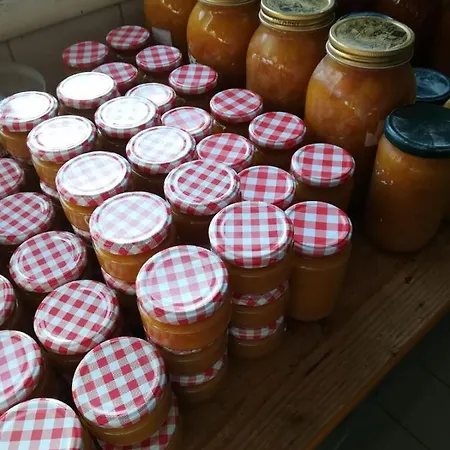 Alloggio per agriturismo Terre Di Mare Bordighera