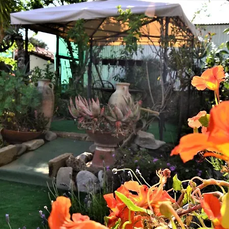 Terre Di Mare Bordighera בית חווה ולקרוסיה