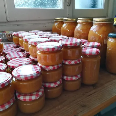 בית חווה Terre Di Mare Bordighera