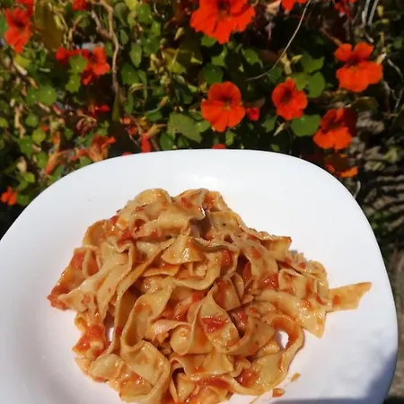 Gospodarstwo agroturystyczne Terre Di Mare Bordighera Vallecrosia