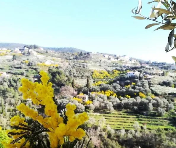 Terre Di Mare Bordighera Feriegård *